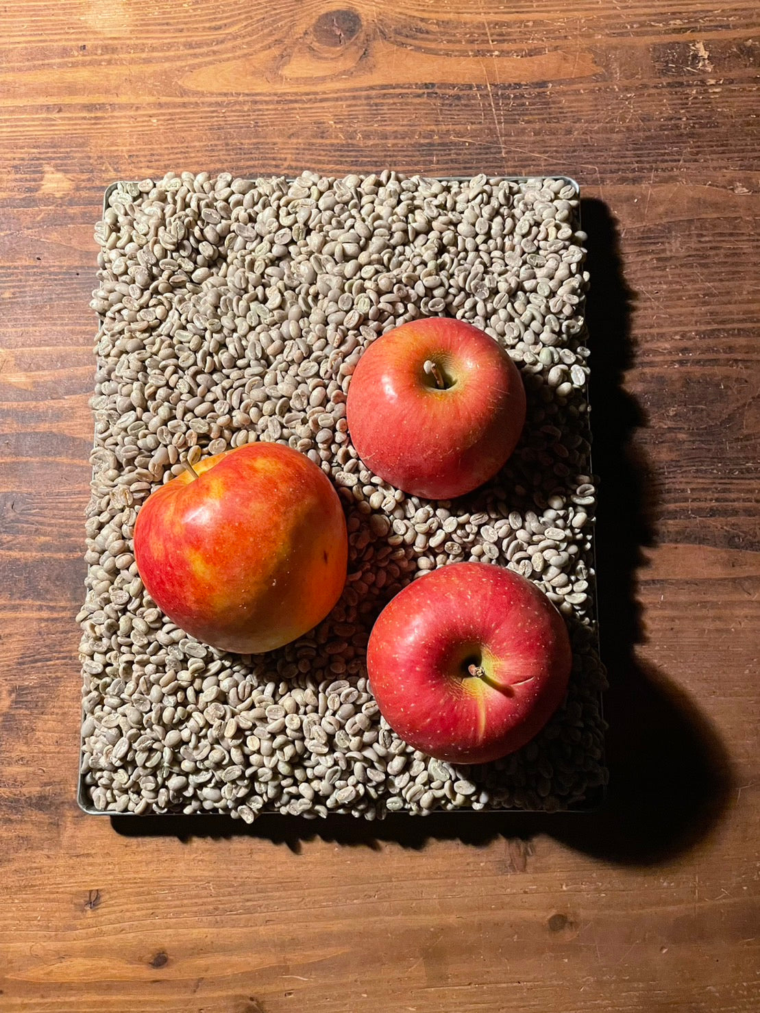 果樹園珈琲‐日本の果樹園から、果実を発酵させた発酵珈琲 OrchardCoffee