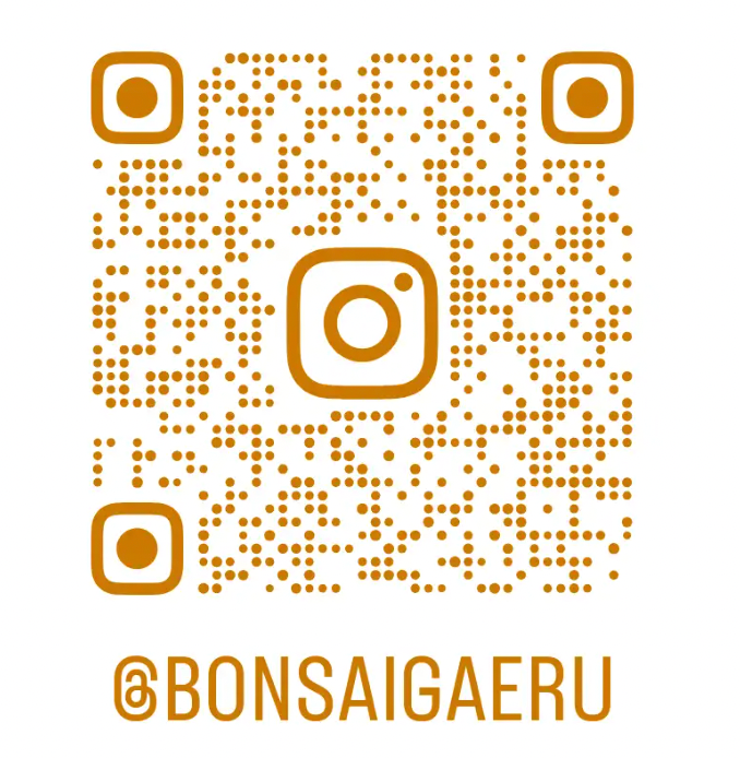 アートプロジェクトDB BonsaiGaeruデザイン