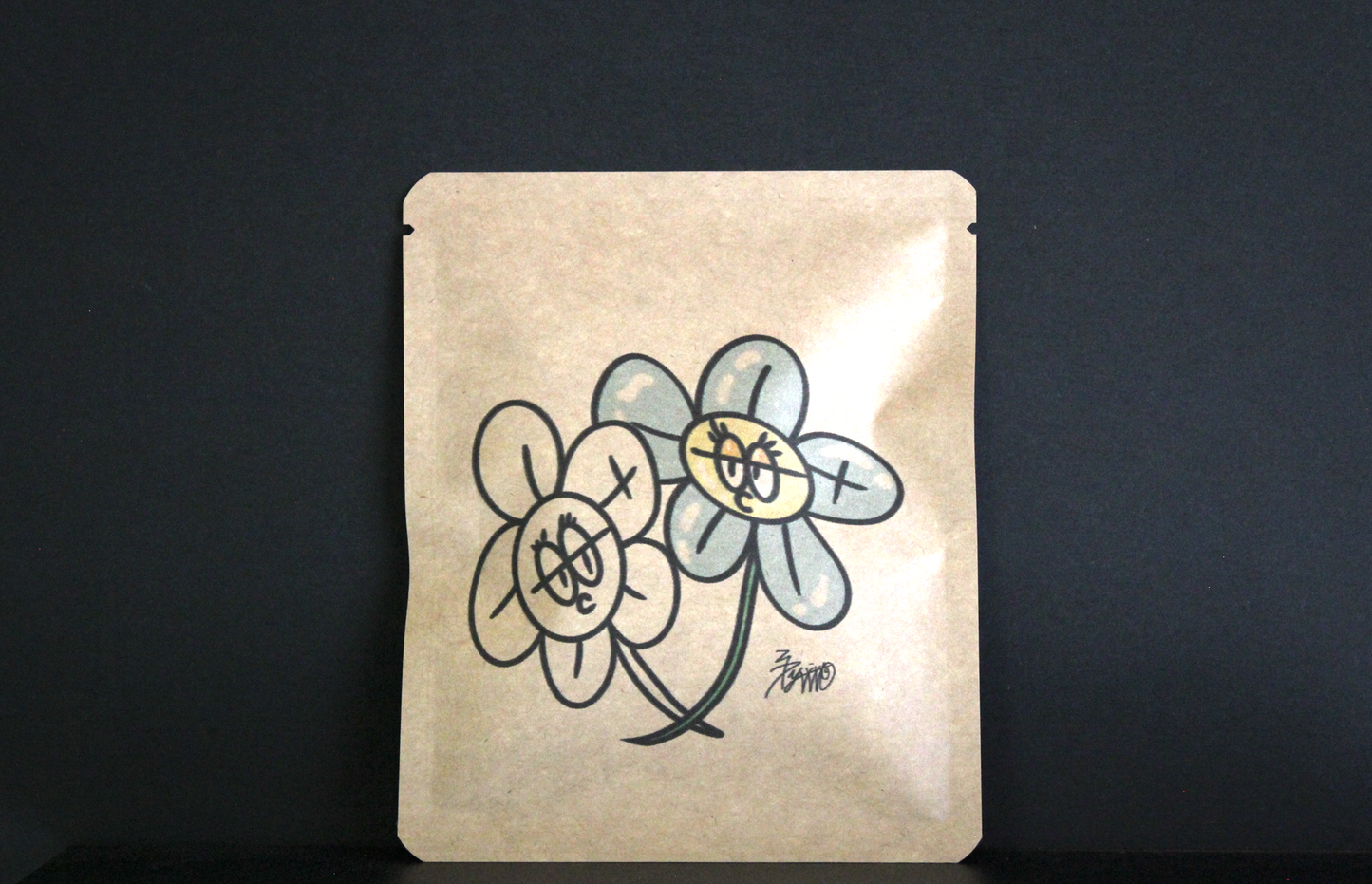 Proyek Seni DB 489 / Desain Shiraiyou