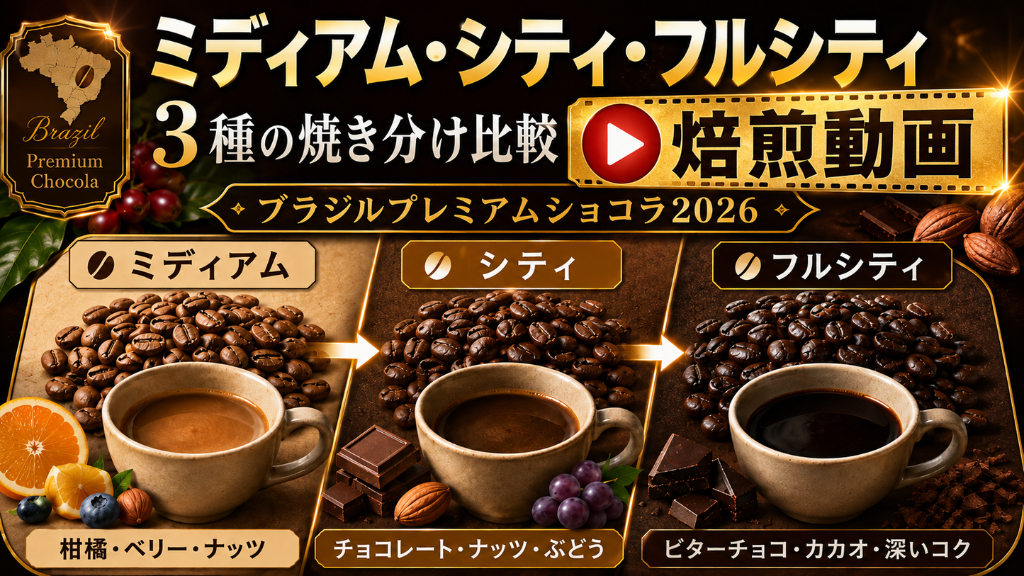 【数量限定】ブラジルプレミアムショコラ2026の3種焼き分け焙煎教習動画&参考用講師焙煎豆付き