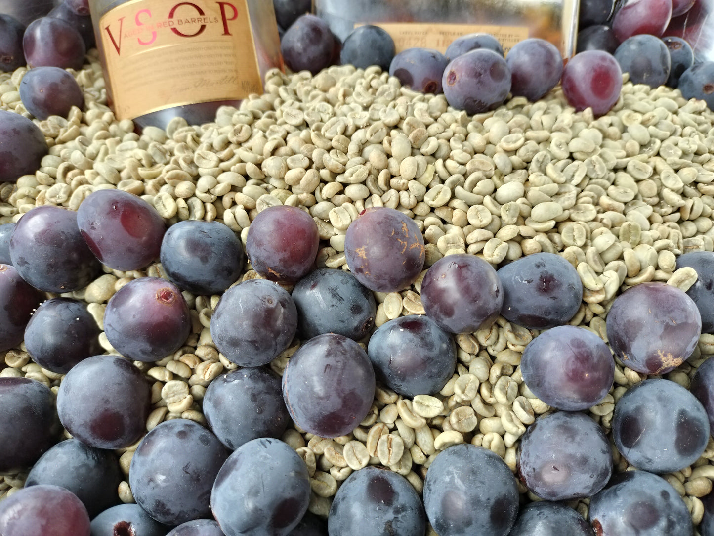 果樹園珈琲‐日本の果樹園から、果実を発酵させた発酵珈琲 OrchardCoffee