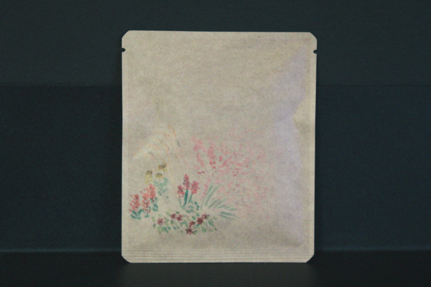 アートプロジェクトDB Tomokoデザイン267