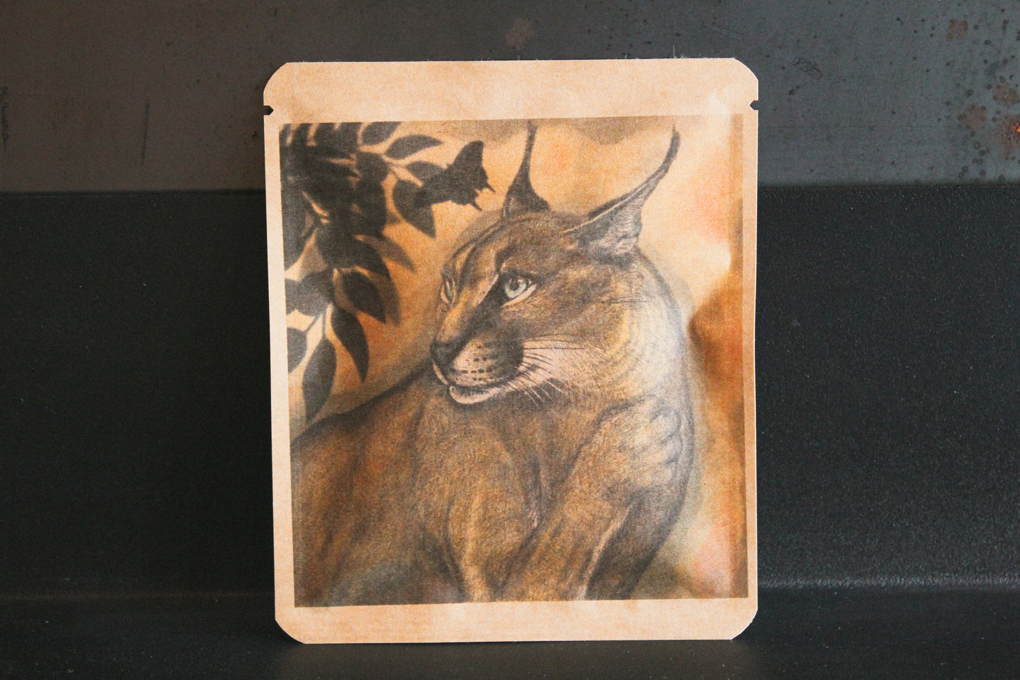 アートプロジェクトDB tacchi_hoshino/山犬工房デザイン 213