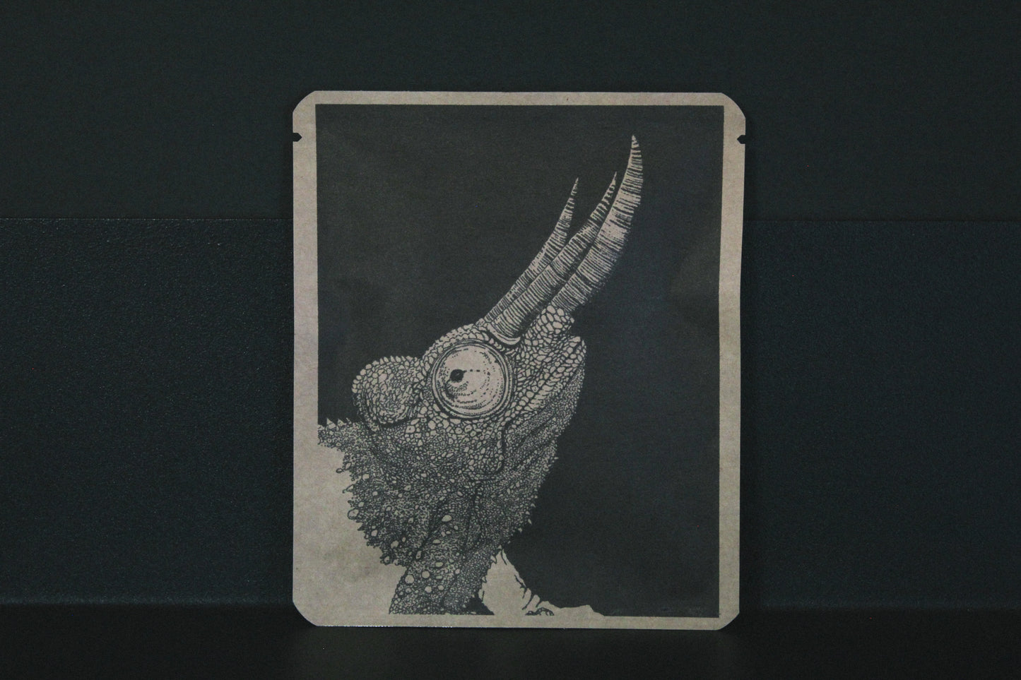 アートプロジェクトDB せんだちゃるデザイン321