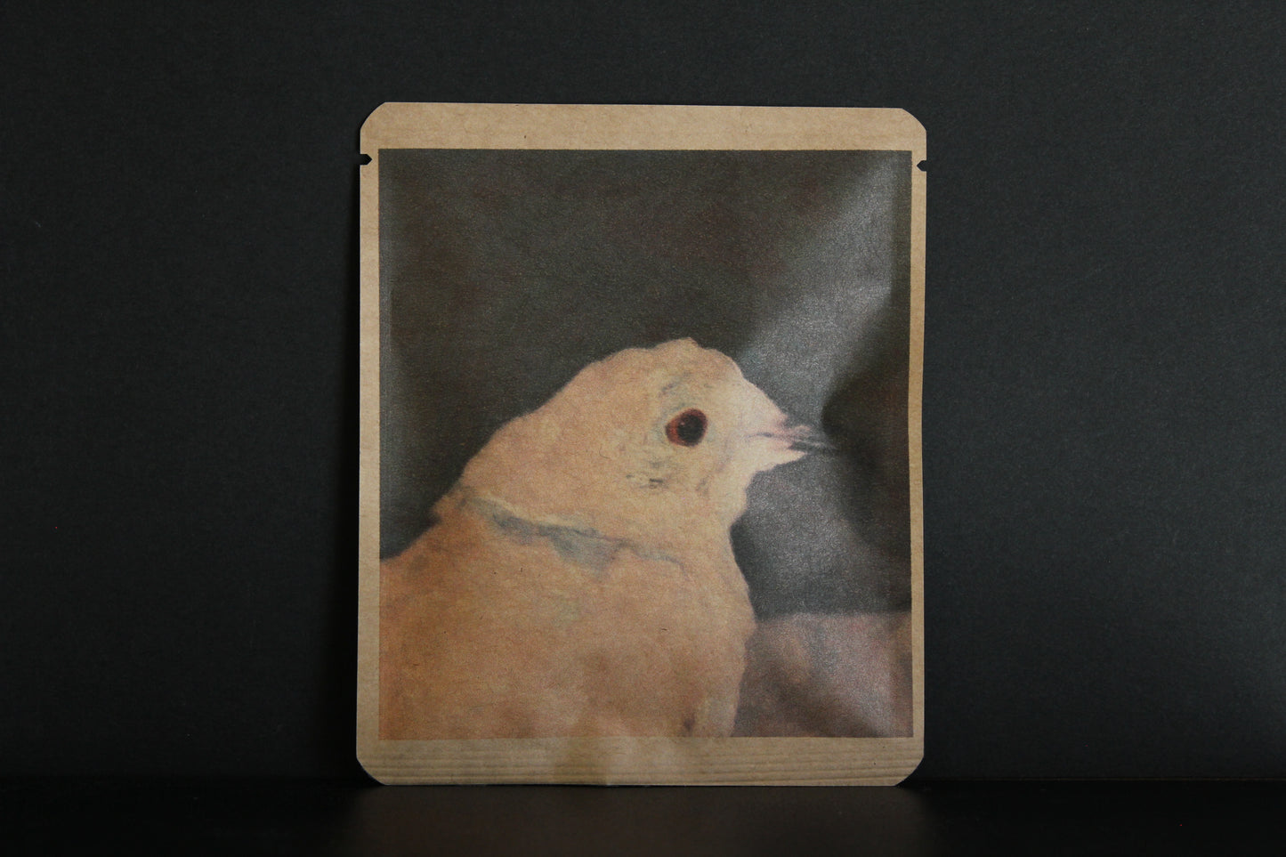 アートプロジェクトDB 404 / Usagi Bonjourデザイン