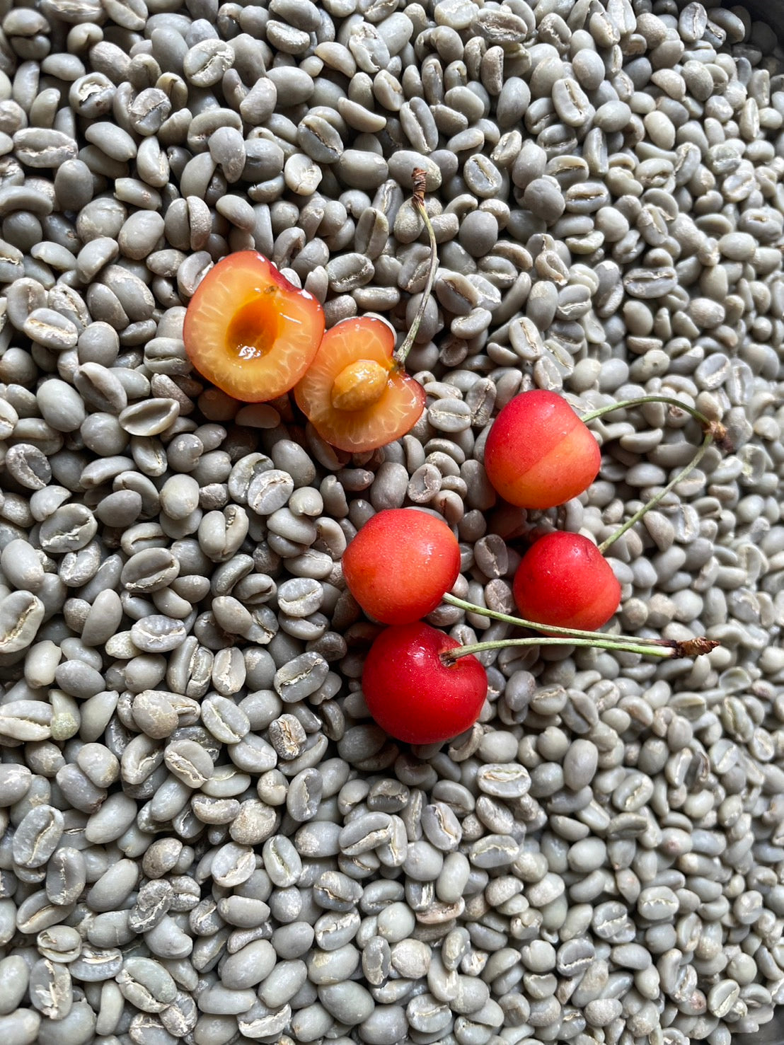 果樹園珈琲‐日本の果樹園から、果実を発酵させた発酵珈琲 OrchardCoffee