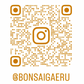 アートプロジェクトDB　BonsaiGaeruデザイン