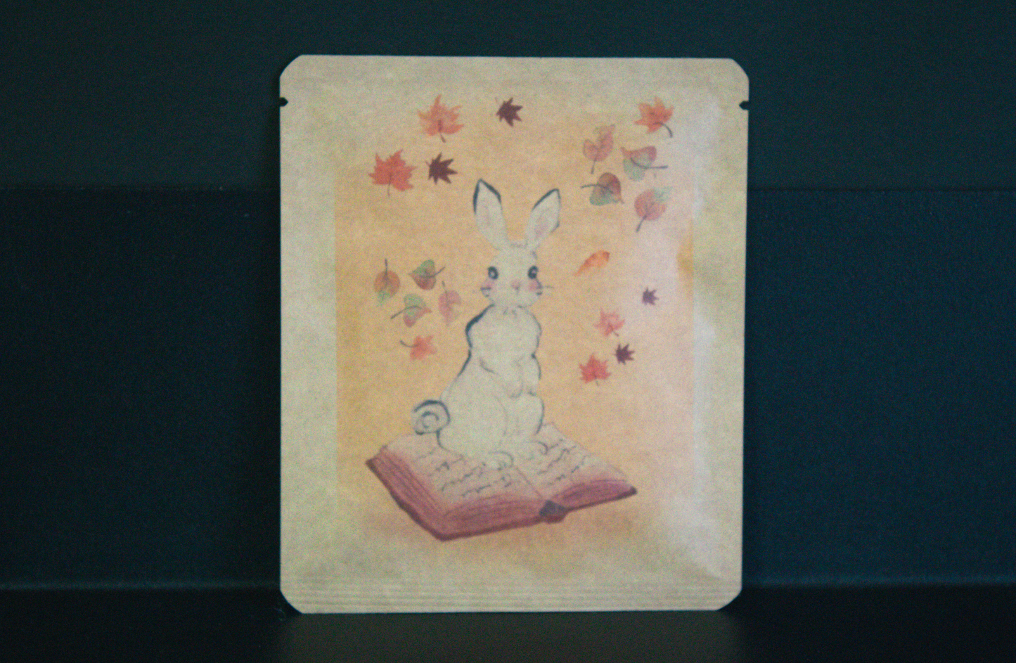 アートプロジェクトDB　 cocotteデザイン296