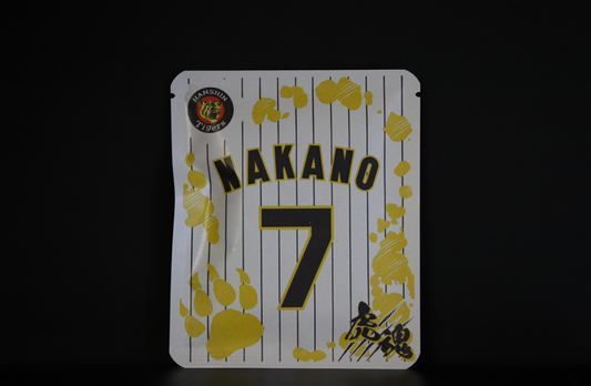 タイガースデザイン（中野選手)