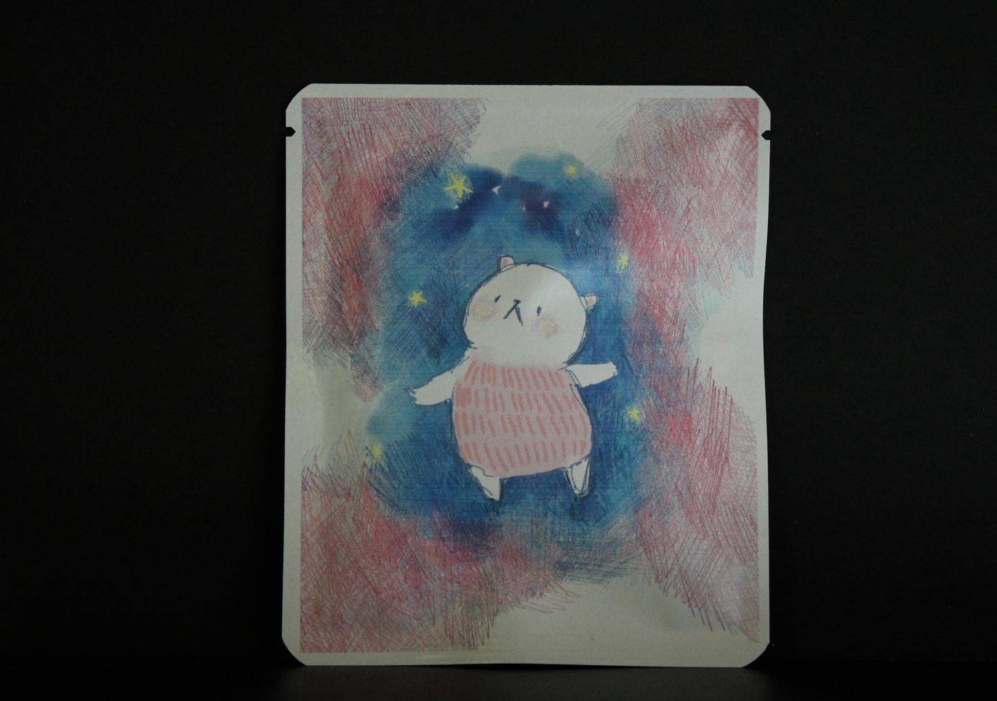 Proyek Seni DB 489 / Desain Shiraiyou