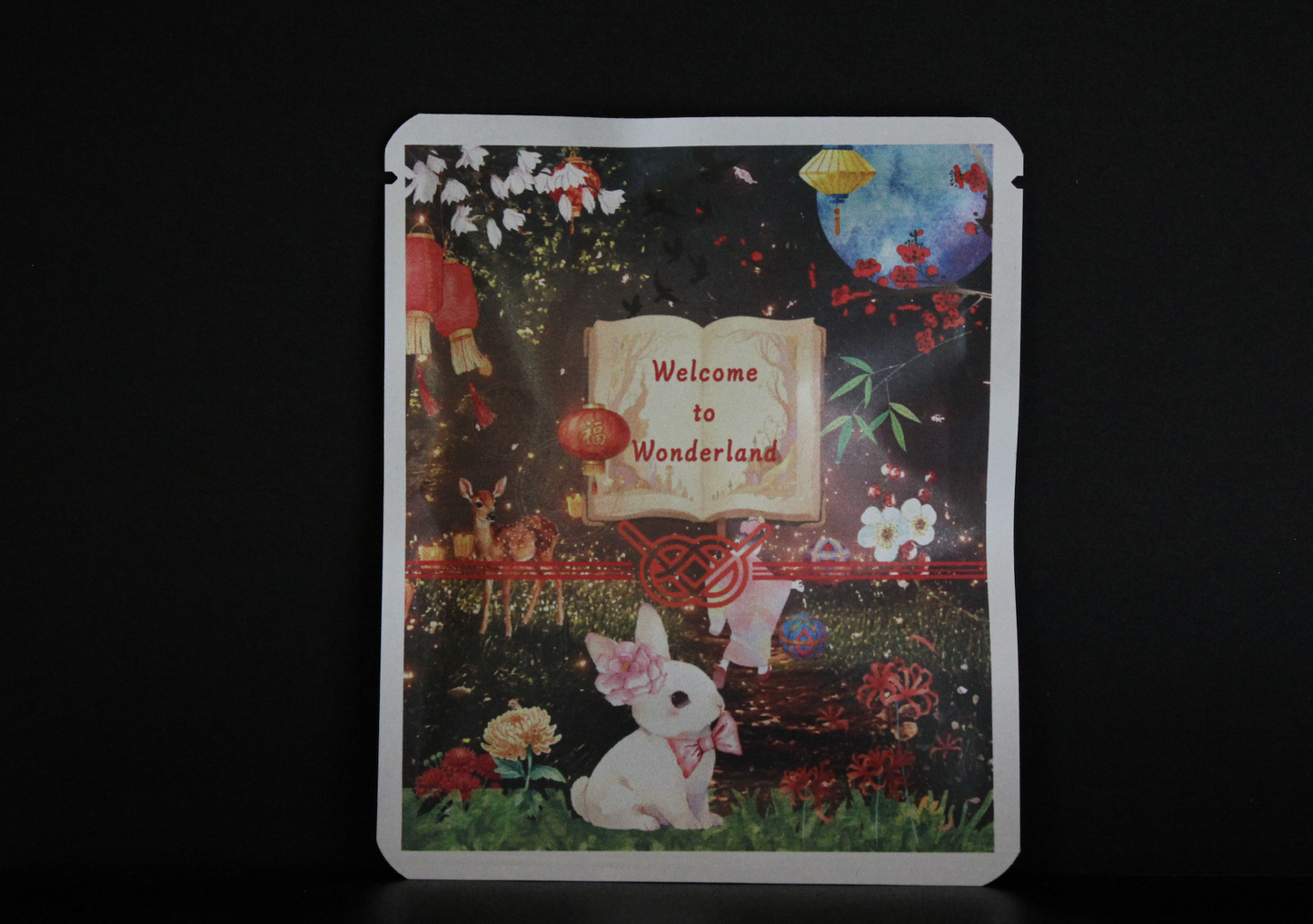 Proyek Seni DB 489 / Desain Shiraiyou