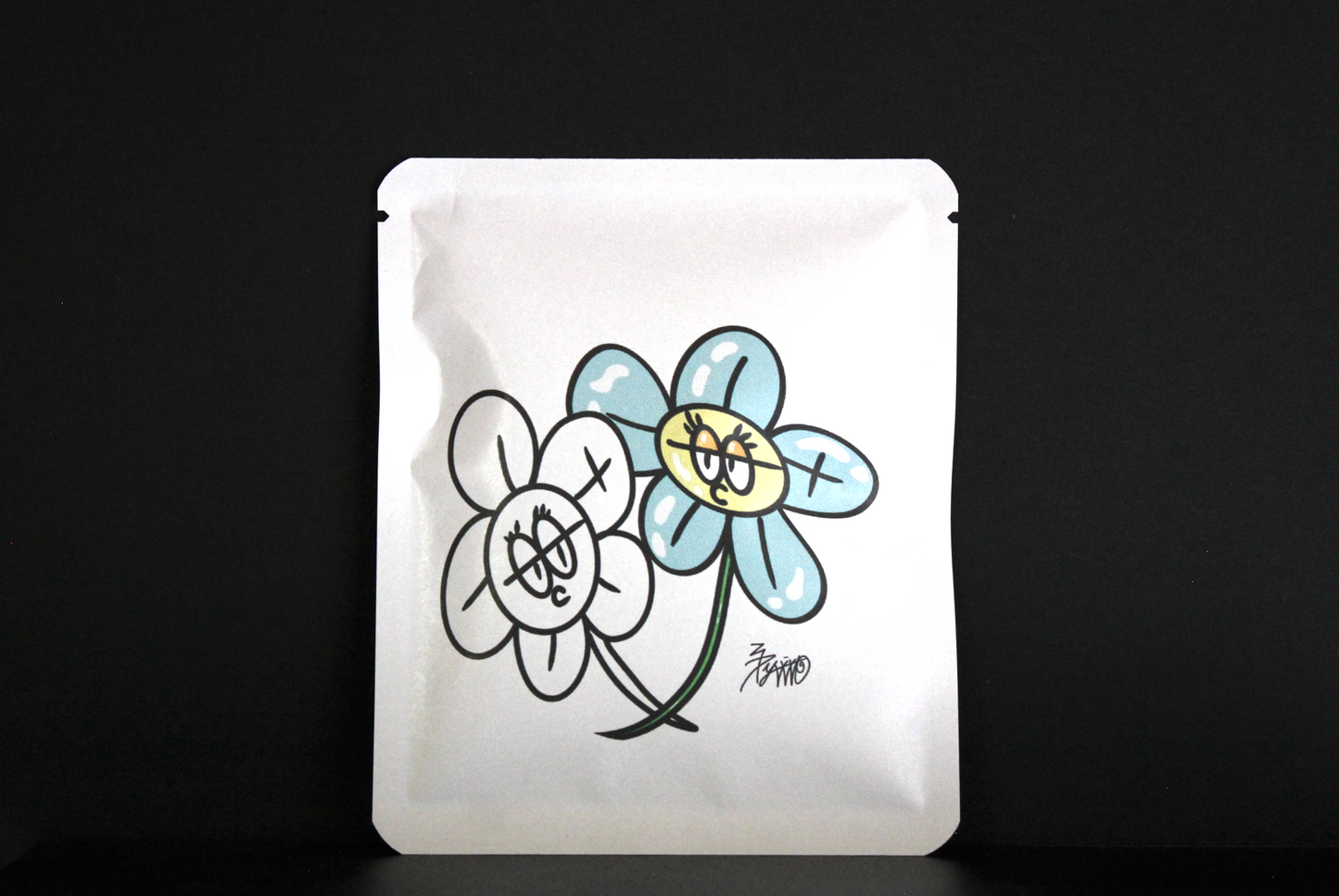 Proyek Seni DB 489 / Desain Shiraiyou