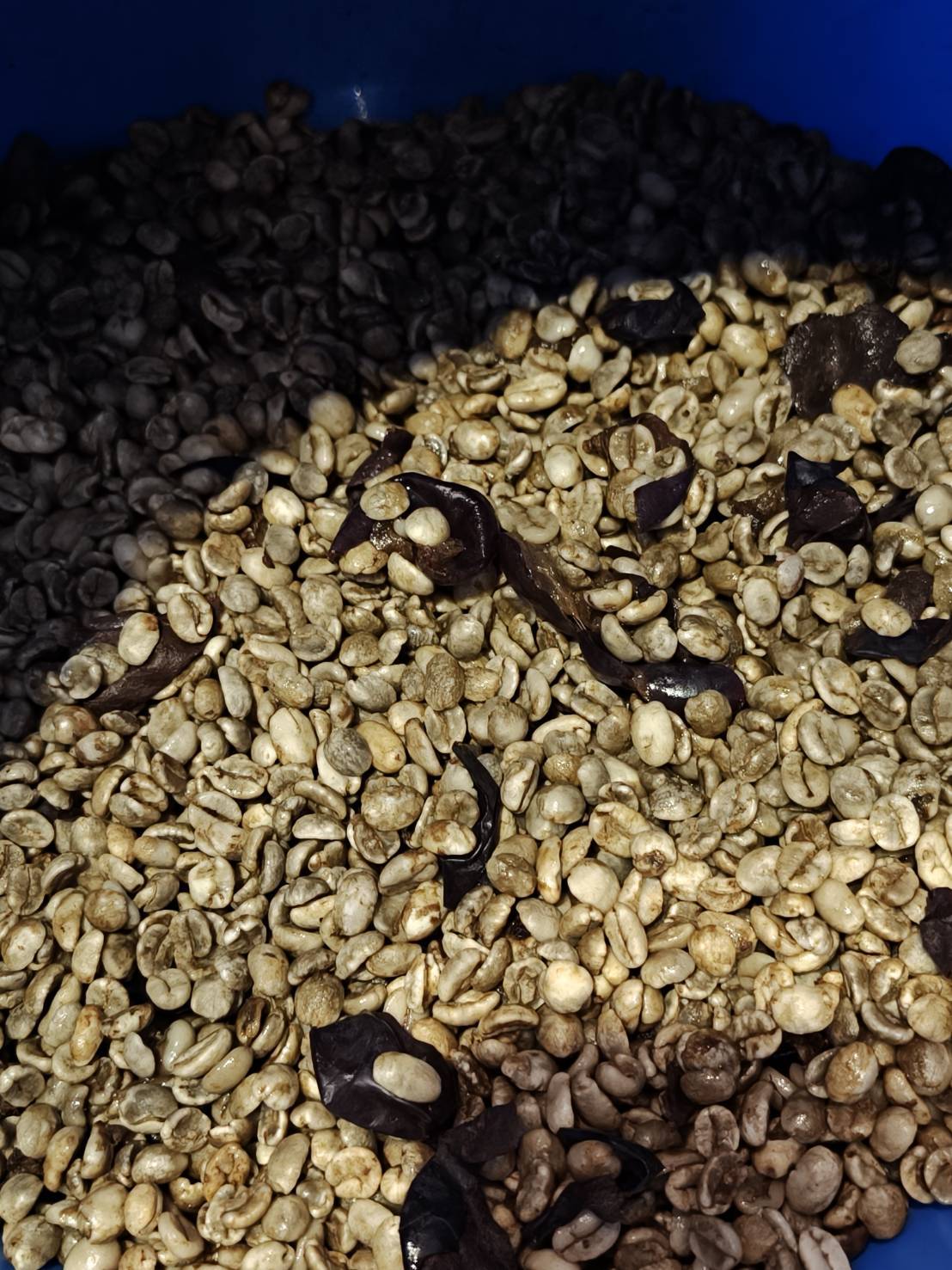 ピオーネカルチャリングコーヒー