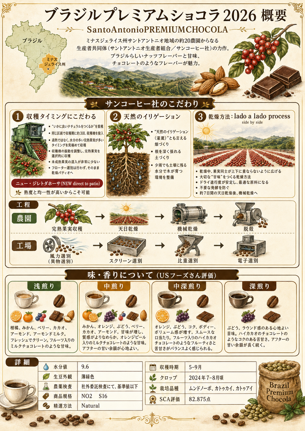 【数量限定】ブラジルプレミアムショコラ2026の３種焼き分け焙煎教習動画＆参考用講師焙煎豆付き