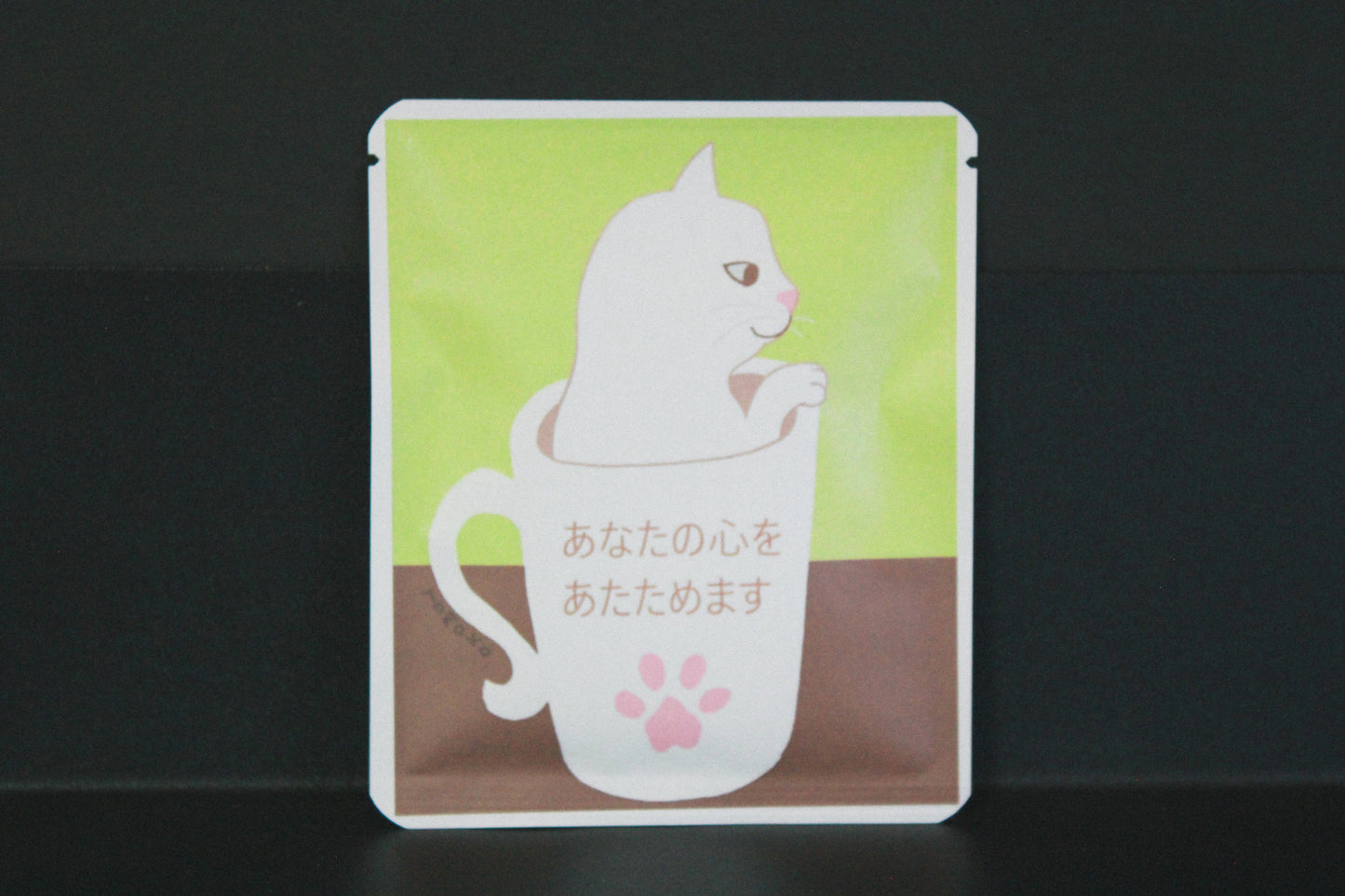 アートプロジェクトDB　河野 智子デザイン268