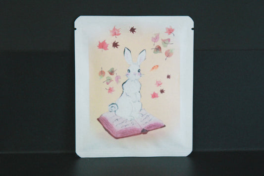 アートプロジェクトDB　 cocotteデザイン296