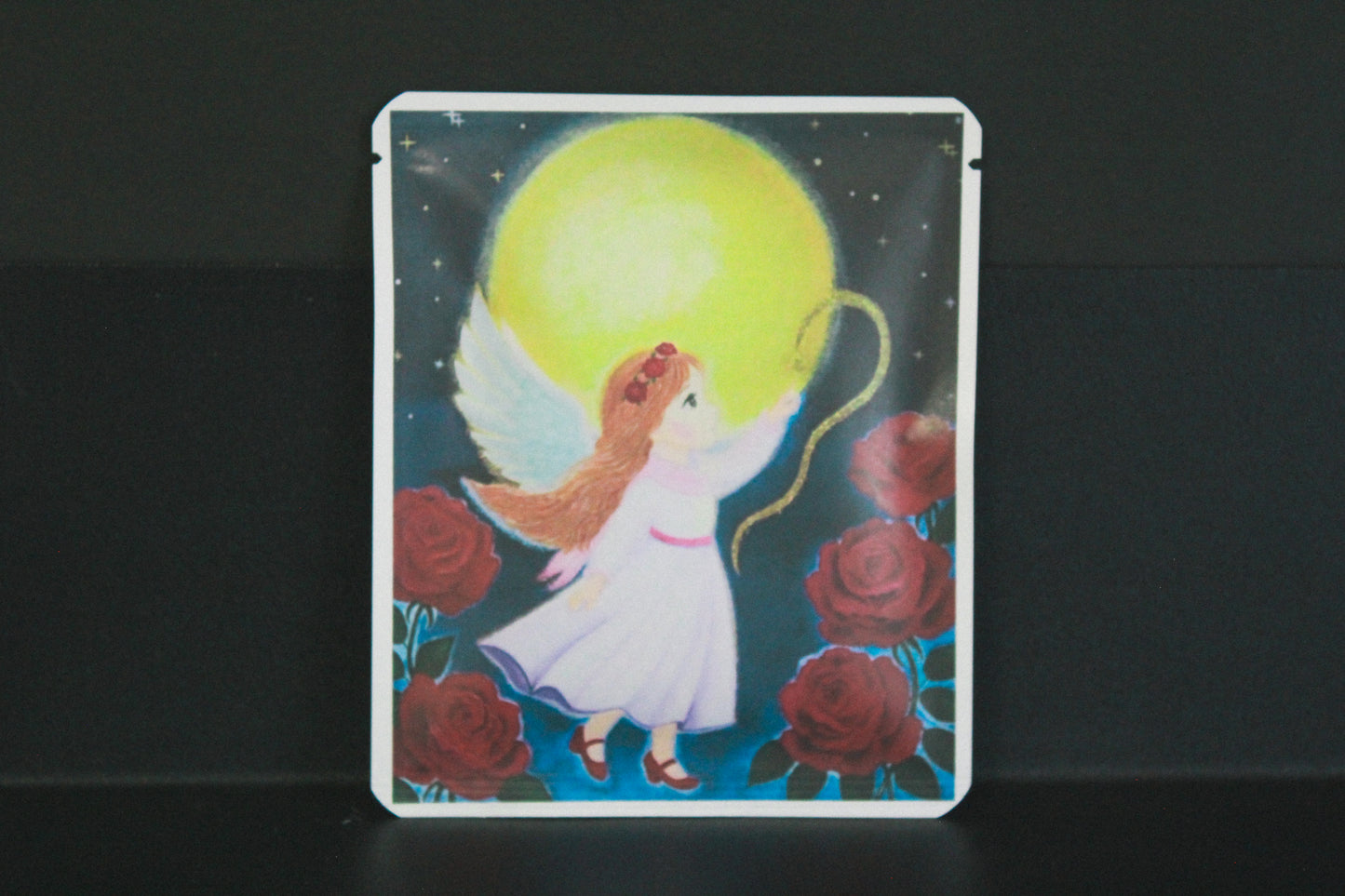 アートプロジェクトDB　 KIYOMIデザイン300