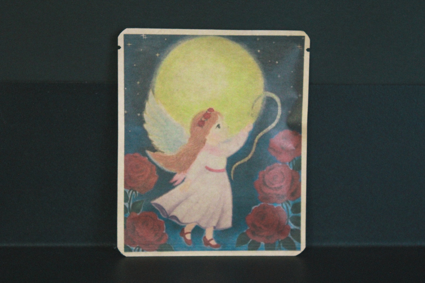 アートプロジェクトDB　 KIYOMIデザイン300