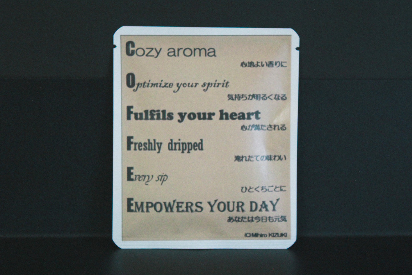 アートプロジェクトDB　稀月真皓デザイン306