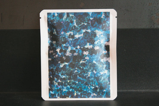 アートプロジェクトDB   ao to iu_デザイン 206