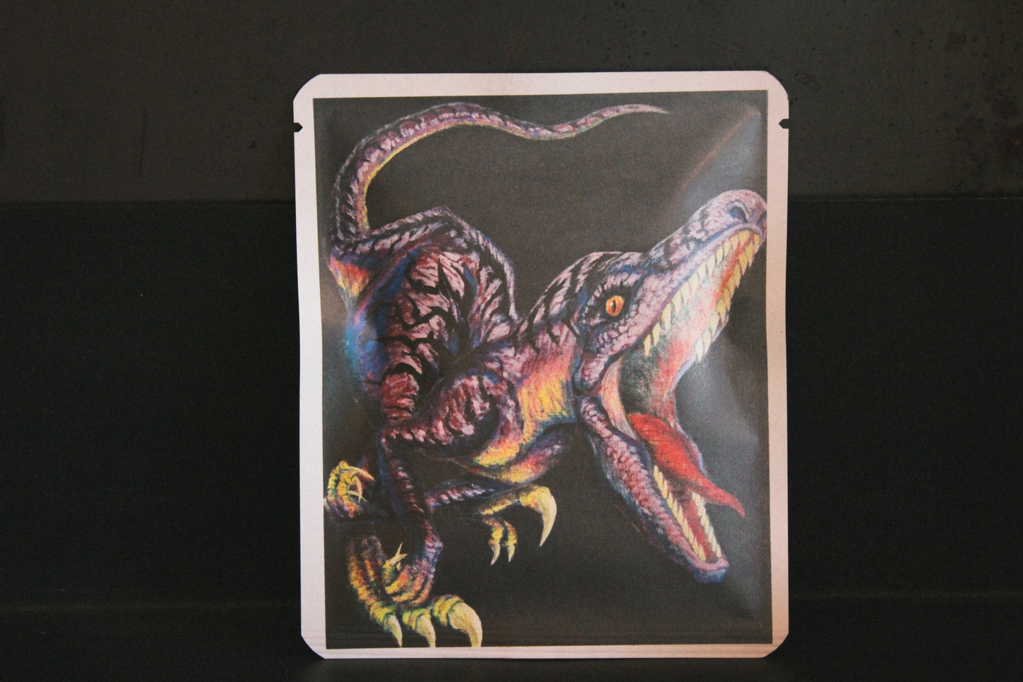 アートプロジェクトDB  　isamumashidaデザイン 193