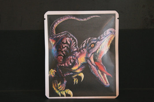 アートプロジェクトDB  　isamumashidaデザイン 193