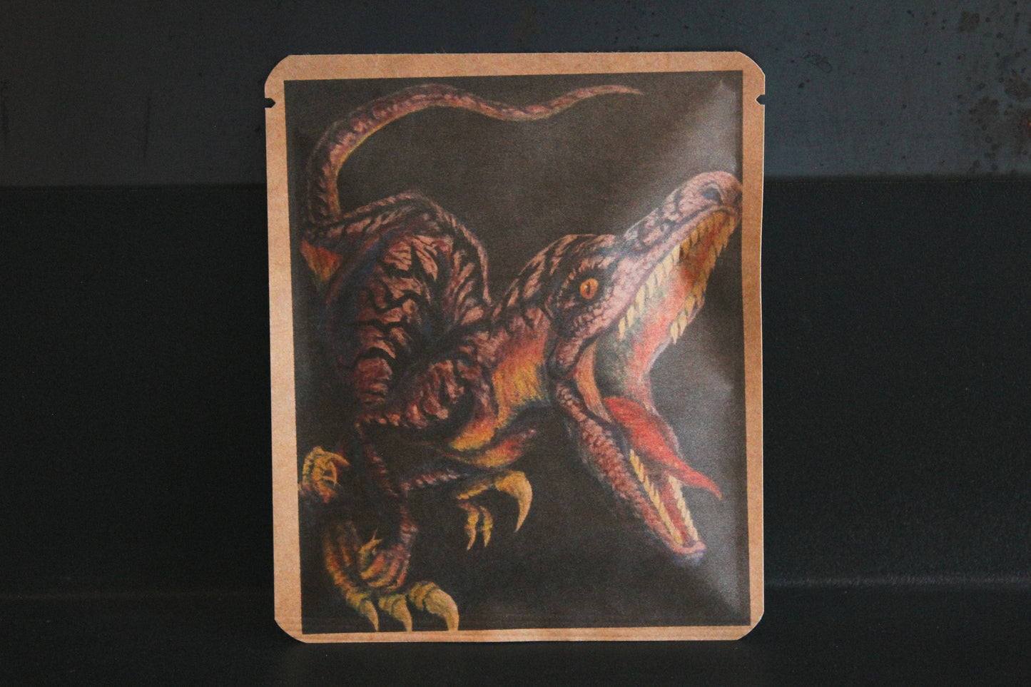 アートプロジェクトDB  　isamumashidaデザイン 193