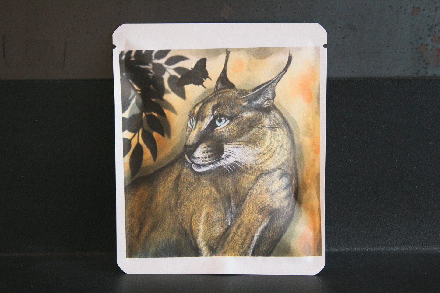 アートプロジェクトDB    tacchi_hoshino/山犬工房デザイン 213