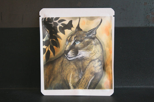 アートプロジェクトDB    tacchi_hoshino/山犬工房デザイン 213