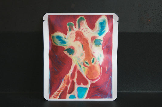 アートプロジェクトDB　ムラカミマサコデザイン 148