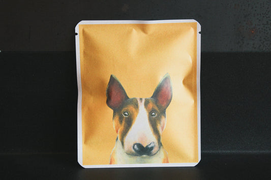 アートプロジェクトDB　島名愛実デザイン 146