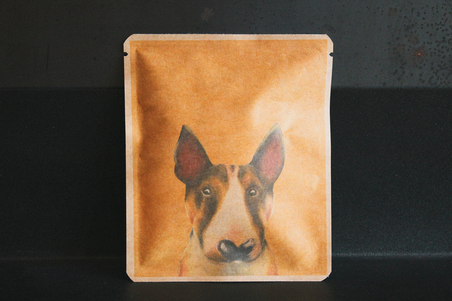 アートプロジェクトDB　島名愛実デザイン 146