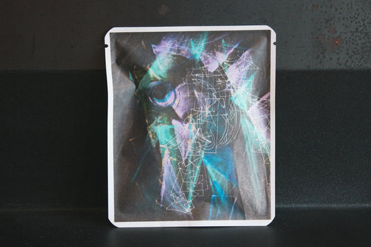 アートプロジェクトDB   Cerita M Wadaデザイン 133