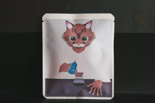 アートプロジェクトDB   新井郁海デザイン 243