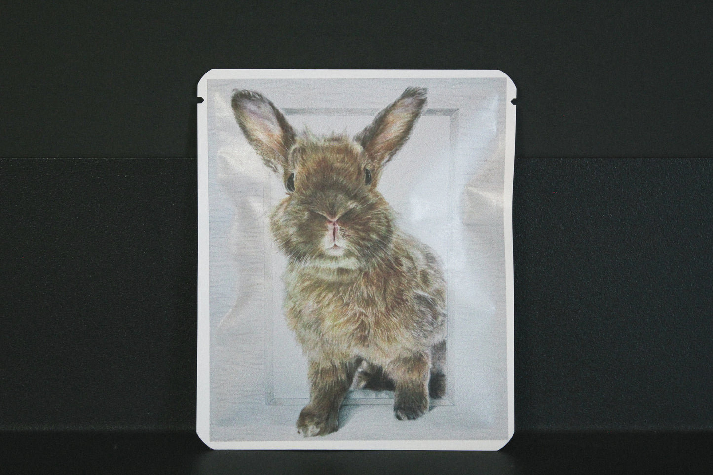 アートプロジェクトDB　くーちゃんのいろえんぴつデザイン308