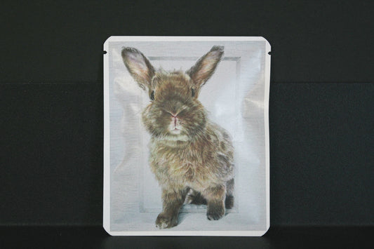 アートプロジェクトDB　くーちゃんのいろえんぴつデザイン308