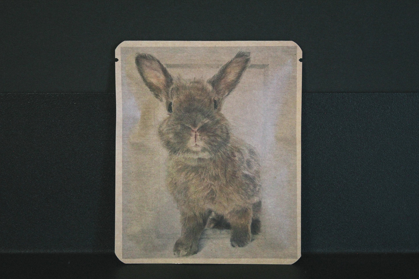 アートプロジェクトDB　くーちゃんのいろえんぴつデザイン308