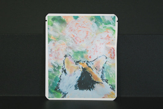 アートプロジェクトDB　戸阿紀デザイン312