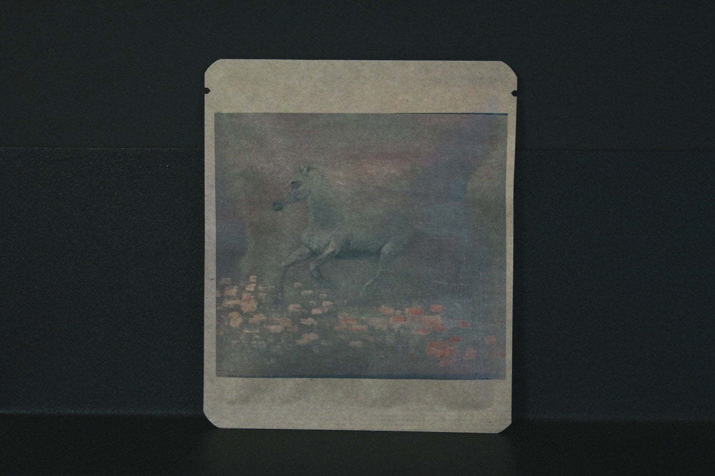 アートプロジェクトDB　erimokotu デザイン336