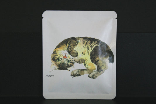 アートプロジェクトDB  まつおかれんデザイン 371