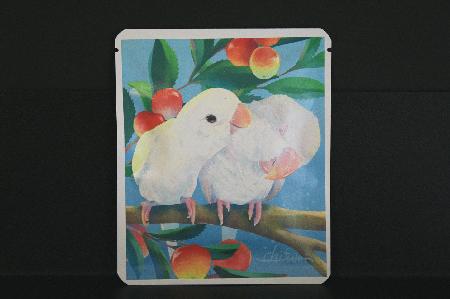 アートプロジェクトDB  chifumiデザイン 373