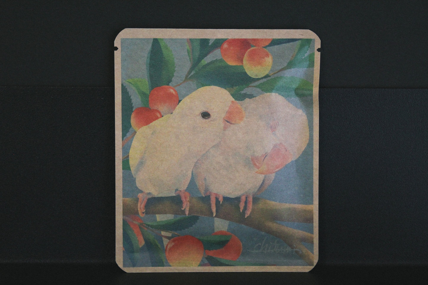 アートプロジェクトDB  chifumiデザイン 373