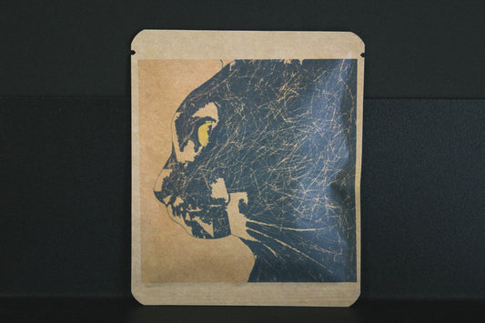 アートプロジェクトDB  ひろゆきデザイン 376