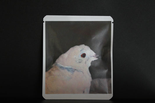 アートプロジェクトDB  404 / Usagi Bonjourデザイン