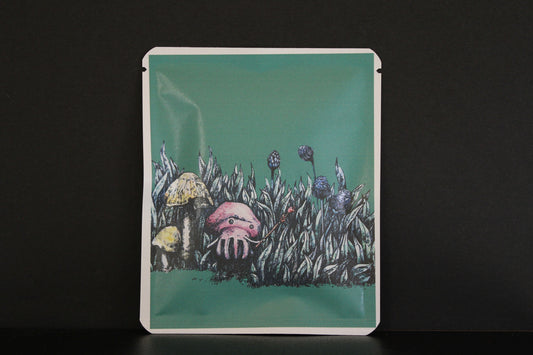 アートプロジェクトDB  423 / きのこの魔法デザイン