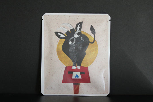 アートプロジェクトDB  431 / しょう　みのりデザイン