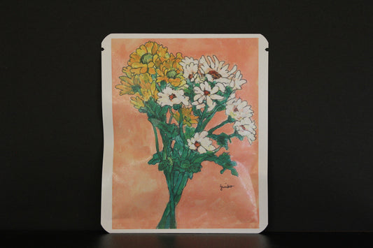 アートプロジェクトDB  441 /  やまのべゆいこデザイン