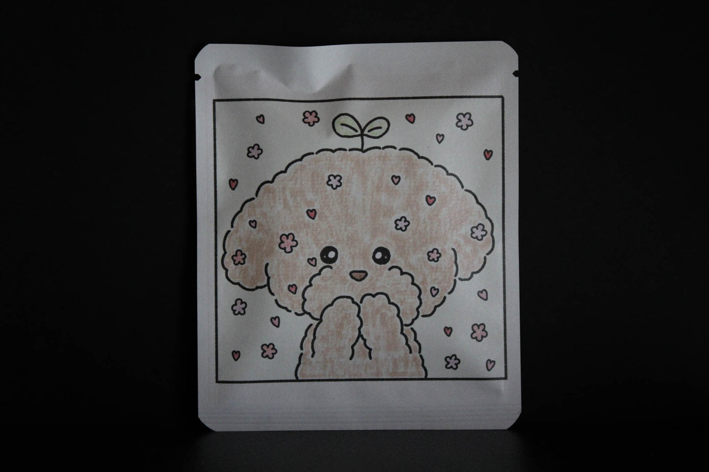 Proyek Seni DB 489 / Desain Shiraiyou