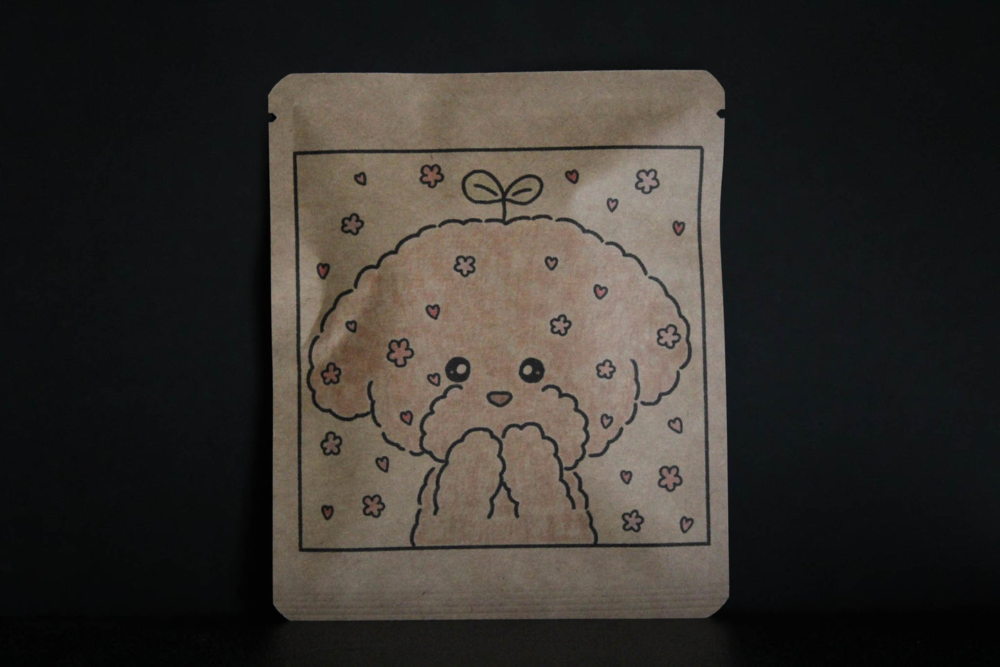 Proyek Seni DB 489 / Desain Shiraiyou