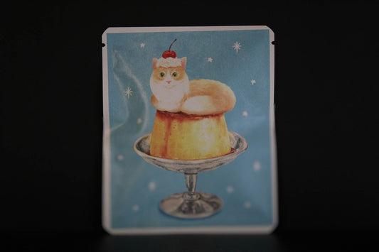 アートプロジェクトDB  536 /  てらさこなるみ デザイン